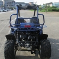 Beach Buggy Off Road Go Kart 