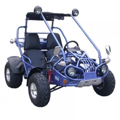 Buggy Off Road Go kart in vendita