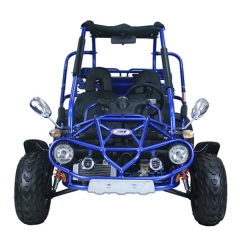 raffreddato ad acqua di 300cc Buggy