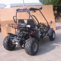 2 seater Racing Buggy con inversa 150cc nero 