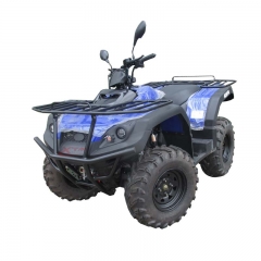 Chinese ATV 4x4 300