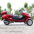 300cc Gas Scooter Trike a 3 ruote 