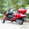 300cc Gas Scooter Trike a 3 ruote 