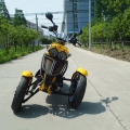 50cc 3 ruote Gas Scooter Trike Motorycycle 