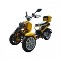 50cc 3 ruote Gas Scooter Trike Motorycycle 