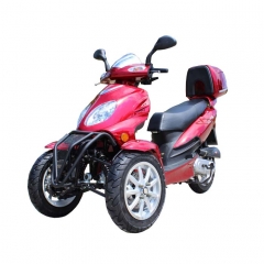 Trike motore 50cc per adulti