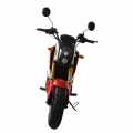 Moto elettrica sportiva per adulti 1000W 