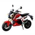 Moto elettrica sportiva per adulti 1000W 