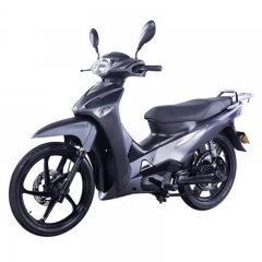 Electric Moped Scooter With Pedal 2000W