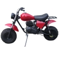 Mini bici da moto 196cc 4 tempi 