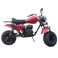 Mini bici da moto 196cc 4 tempi 